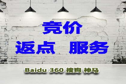 SEM代运营成功案例：打造行业领先品牌
